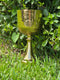 528Hz Frequency Chalice – “The Love Harmonic”