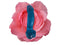 The Lingam