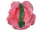 The Lingam